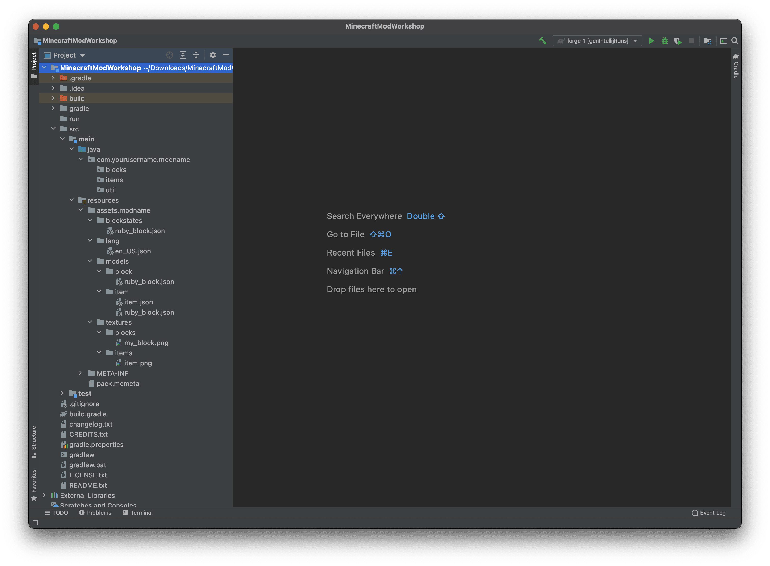 IntelliJ starter project